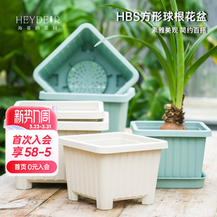海蒂 花园旗舰店方形球根塑料花盆郁金香种球植物种植盆树脂盆