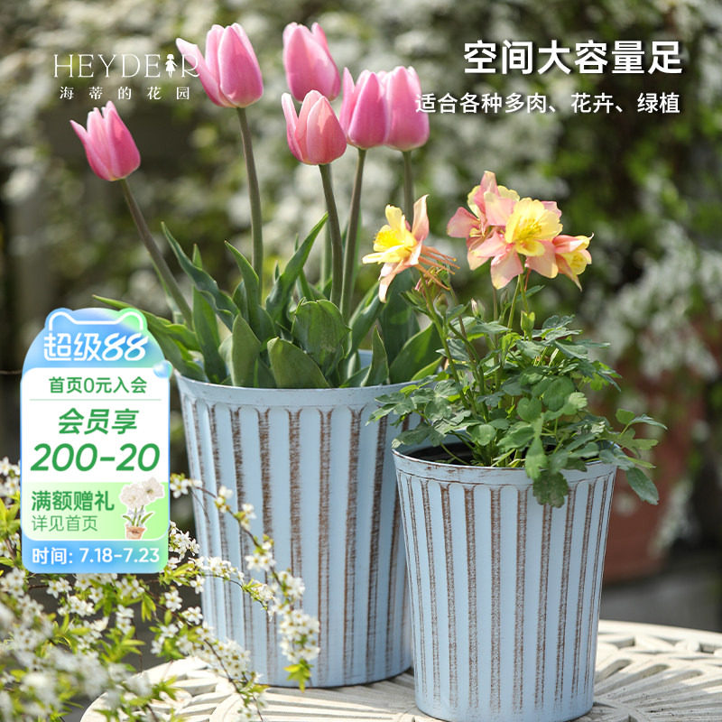 海蒂的花园环球RATTEN藤编系列花盆花卉绿植多肉种植盆耐用树脂盆