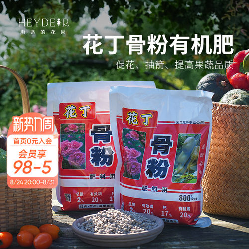 八福仙海蒂的花园唤醒植物