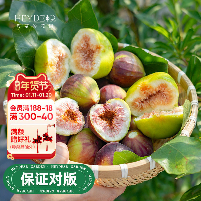 海蒂的花园旗舰店无花果树果苗家庭盆栽果树好养易结果可食用树苗,鲜花速递/花卉仿真/绿植园艺,果树,淘宝优惠券,粉丝福利购,淘宝优惠卷