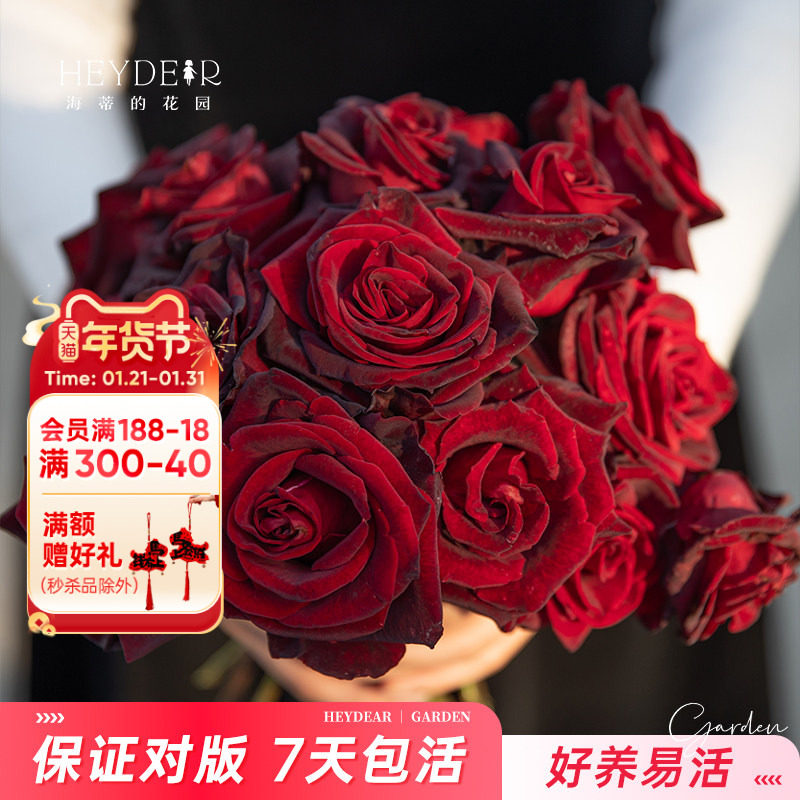 海蒂的花园旗舰店月季花苗小苗大花新品月季花盆栽果汁阳台月季,鲜花速递/花卉仿真/绿植园艺,月季/蔷薇/玫瑰,淘宝优惠券,粉丝福利购,淘宝优惠卷