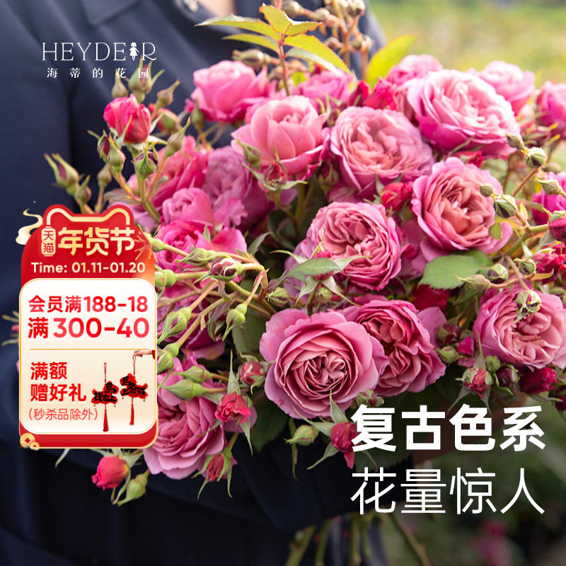 ���ٵĻ�԰����ľ�¼��ڻ���ͷ����ɫ��̨ͥԺ¶ֲ̨�ﻨ�������� 111.85Ԫ��5��(��22.37Ԫ/��)