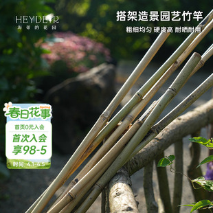 花园竹竿蔬菜番茄黄瓜花卉植物园艺爬藤架栅栏篱笆搭架材料 海蒂