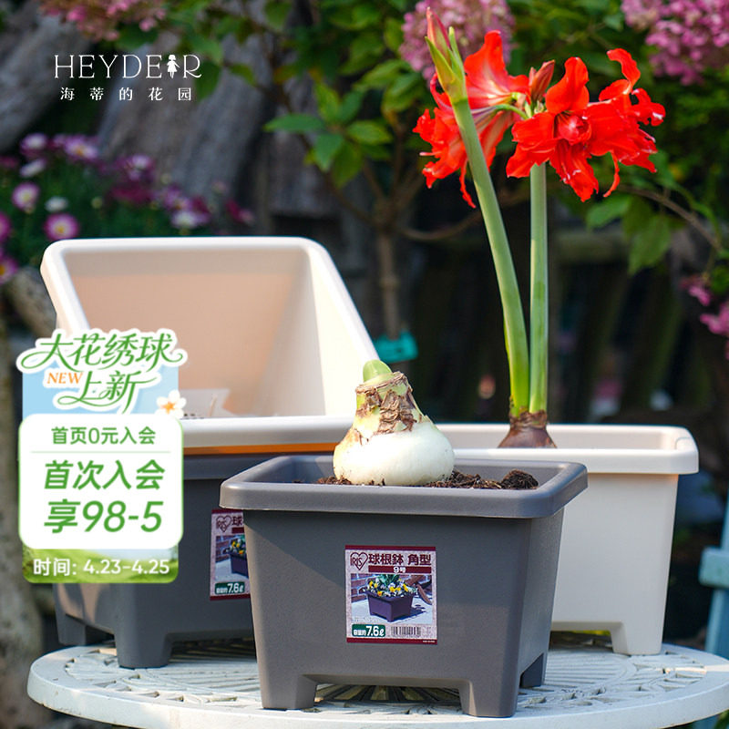 海蒂的花园爱丽思花盆种球球根树脂塑料花盆家用栽种方形花盆