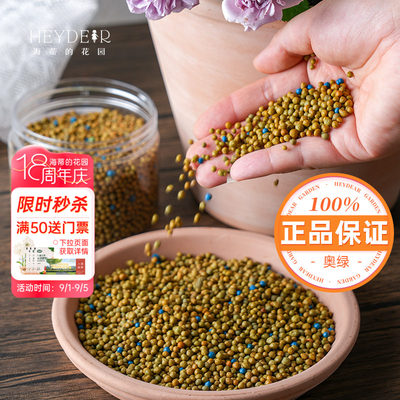 进口奥绿保证正品基地自用