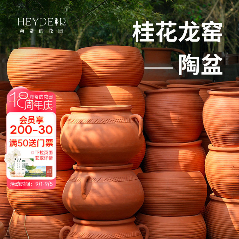 海蒂的花园龙窑种植红陶盆图片