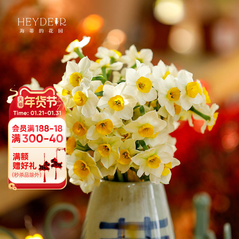 海蒂的花园旗舰店中国水仙种球漳州水仙花室内花卉水培植物年宵花,鲜花速递/花卉仿真/绿植园艺,种球/裸根,淘宝优惠券,粉丝福利购,淘宝优惠卷