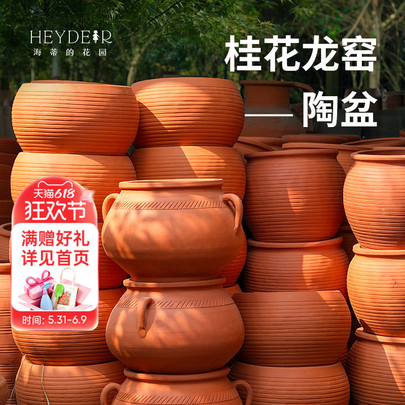 海蒂的花园桂花龙窑红陶盆陶罐园艺组合花卉盆栽陶土种植花盆