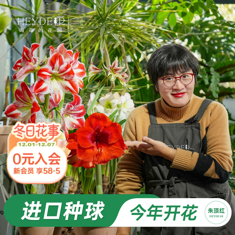 【小红书博主推荐新手种球】