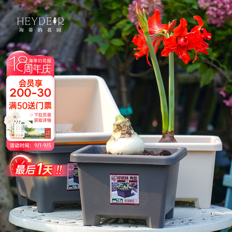 海蒂的花园爱丽思花盆种球球根树脂塑料花盆家用栽种方形花盆