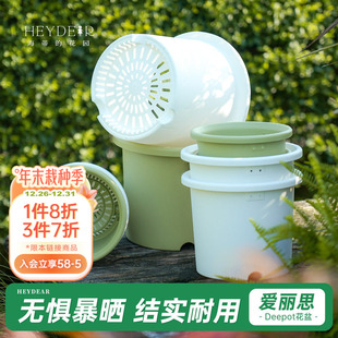 海蒂 绣球花盆家用栽种种植 花园旗舰店爱丽思花盆Deepot多肉月季