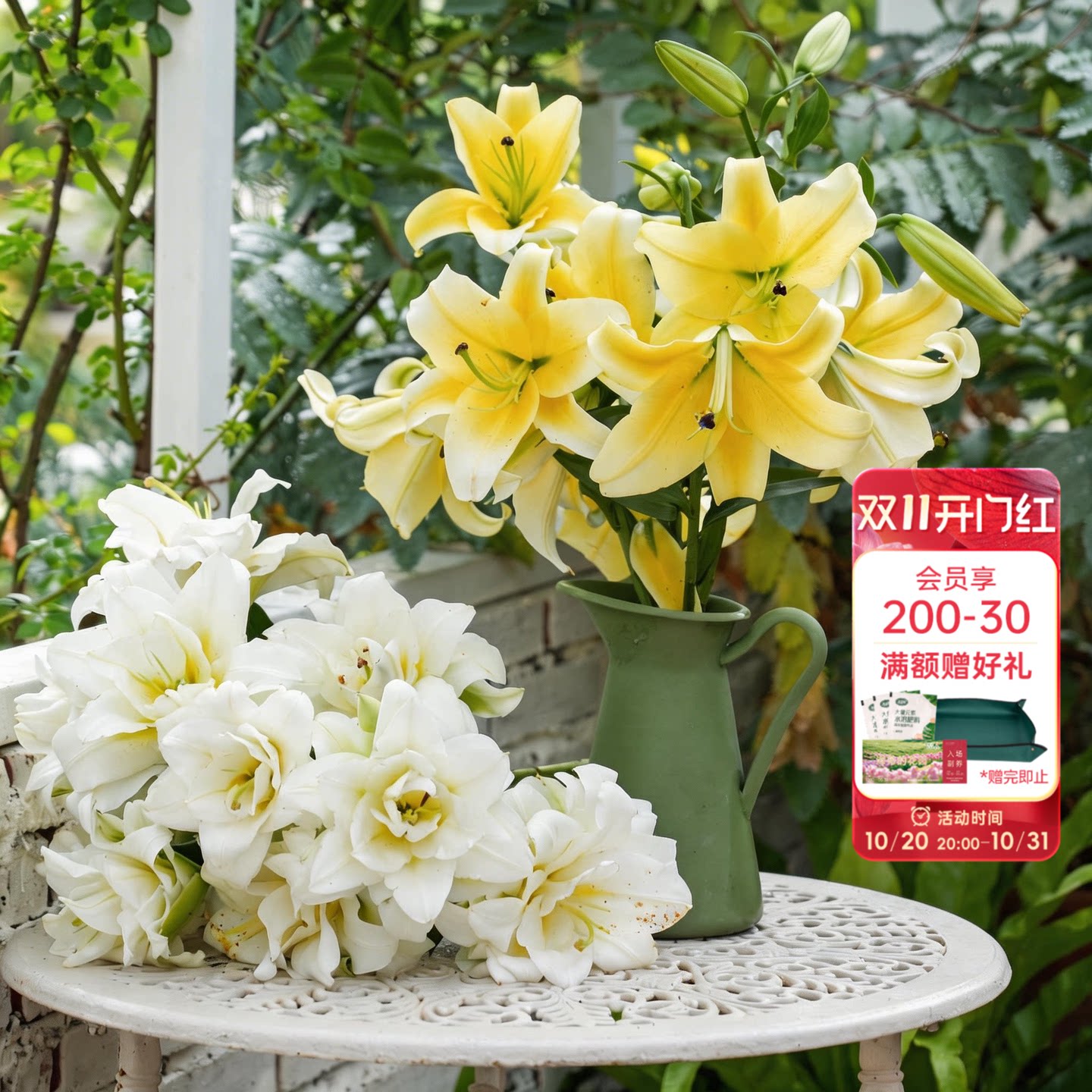海蒂的花园旗舰店百合种球鲜切花品种全国可种花园阳台花卉球根