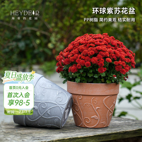 PP树脂浮雕仿红陶花盆花卉种植盆