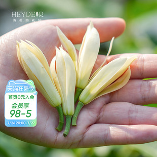 海蒂的花园旗舰店白兰黄角兰盆栽树苗带花苞盆栽鲜花花卉植物大苗