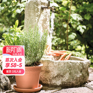海蒂 花园帝罗马盆托盆垫托盘天然陶土防漏水托盆接水盘盆托底托