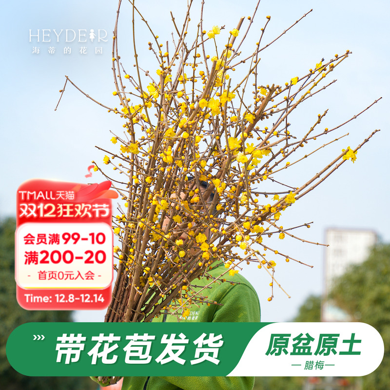 ٵĻ԰콢÷ԶͺֲͥԺֲ 29.83Ԫ