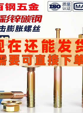 击芯膨胀螺丝一钉得锤击壁虎敲击式膨胀丝M6M8-M30钉式举升机螺栓