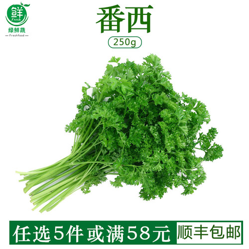 新鲜番西蔬菜法国香芹荷兰欧芹西洋芹西餐厅蛋糕摆盘装饰用品500g