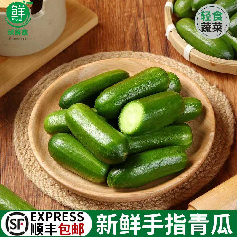 新鲜拇指小黄瓜手指小青瓜脆脆嫩爽口水果瓜生吃无刺不涩口拇指瓜