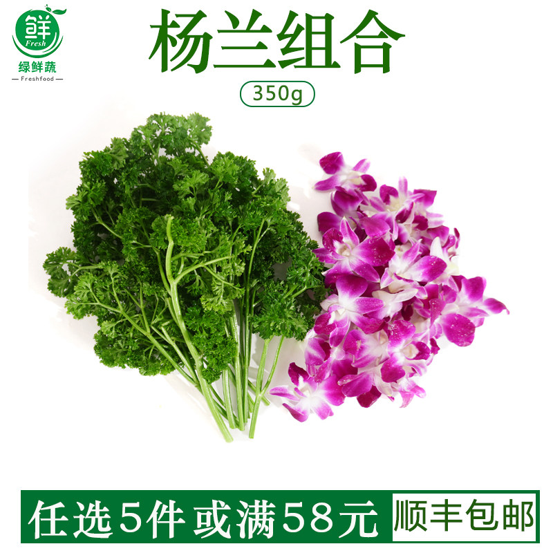 酒店荷兰芹新鲜组合花草