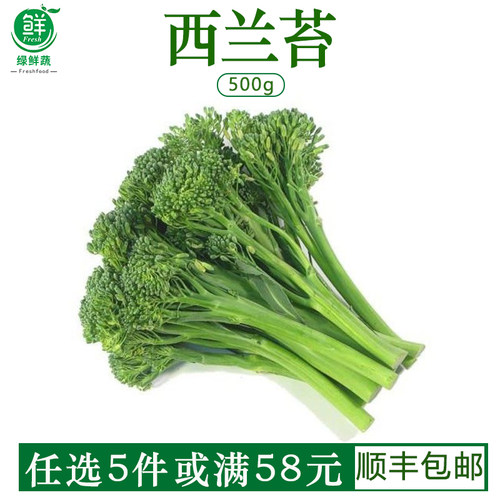西兰苔新鲜蔬菜手指西兰花兰花苔青花苔青花菜西餐酒楼食材500g