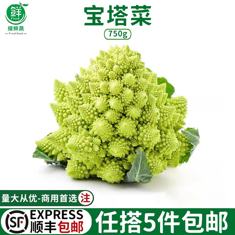 新鲜宝塔花菜750g新鲜蔬菜罗马花椰菜西餐食材酒店装盘沙拉花椰菜