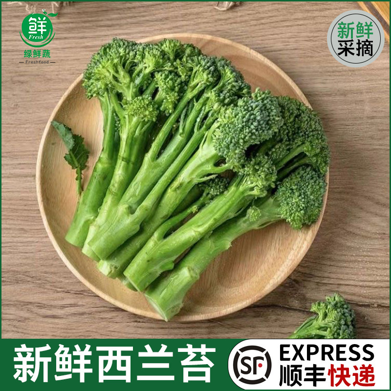 新鲜西兰苔500g 时令蔬菜青花苔迷你小西兰花宁夏甜杆西兰花苔