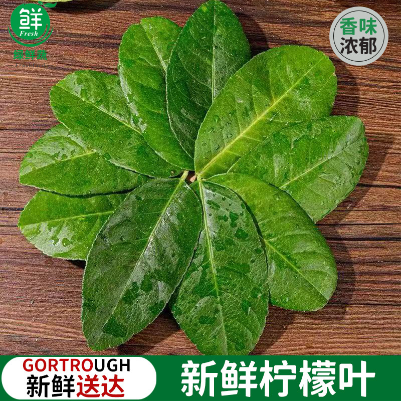 柠檬叶新鲜西餐香料料理青柠叶腌制烹饪调料泰式冬阴功汤原料包邮