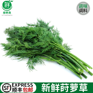 新鲜莳萝草100g 食用泰式香料菜刁草 土茴香酒店摆盘西餐调料蔬菜