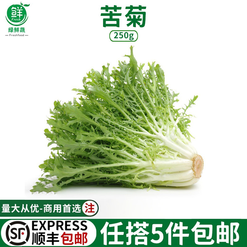 新鲜苦菊250g 苦细叶生菜 苦苣菜 西餐生吃蔬菜沙拉色拉食材配菜