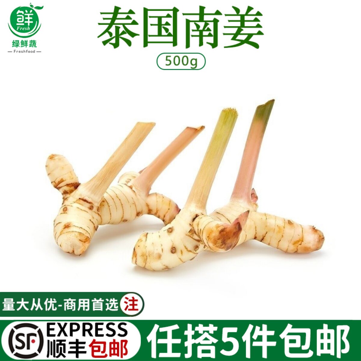 新鲜南姜泰式南姜调味香料冬阴功汤料火锅底料500G蔬菜生姜