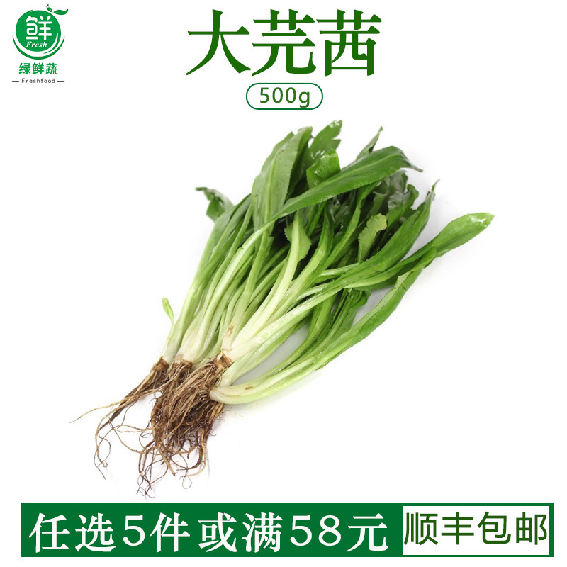 大芫茜新鲜食用泰式香料菜越南香菜冬阴功汤调味刺芫荽顺丰500g