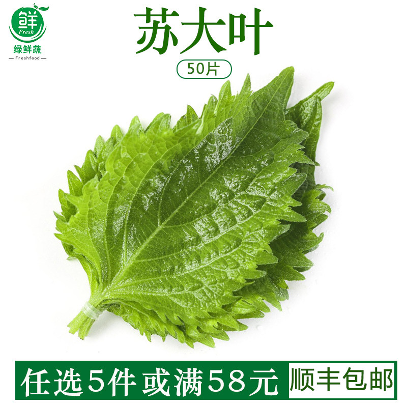 新鲜紫苏叶苏大叶日本寿司料理刺身海鲜去腥调味包烤肉蔬菜20g
