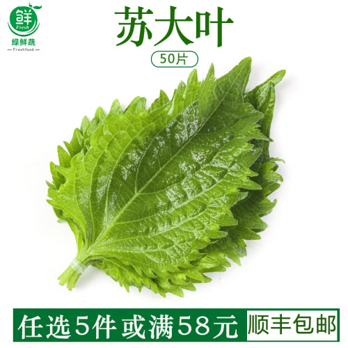 新鲜紫苏叶苏大叶日本寿司料理刺身海鲜去腥调味包烤肉蔬菜20g