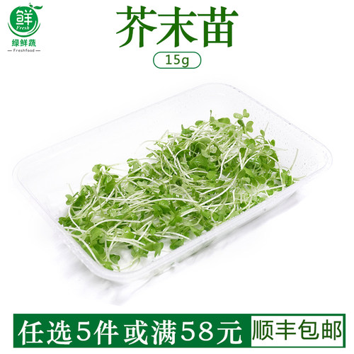 新鲜芥末苗芝麻苗食用苗芽西餐沙拉装饰点缀摆盘食用西餐沙拉蔬菜