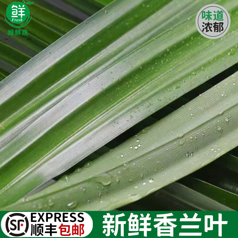 斑斓叶新鲜食用海南香兰叶班兰叶烘焙商用蛋糕千层食材蔬菜500g