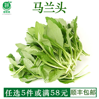 新鲜马兰头500g鸡儿肠山坡菜肠叶菜酒楼饭店上汤炒菜特色蔬菜食材