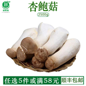 杏鲍菇新鲜菌菇5斤装 顺丰蔬菜新鲜食用蔬菜肉厚鲜嫩蘑菇煲汤食材