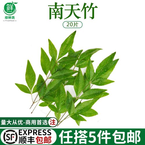 新鲜南天竹绿南天叶非枫叶日料刺身西餐酒店摆盘装饰点缀花草20片