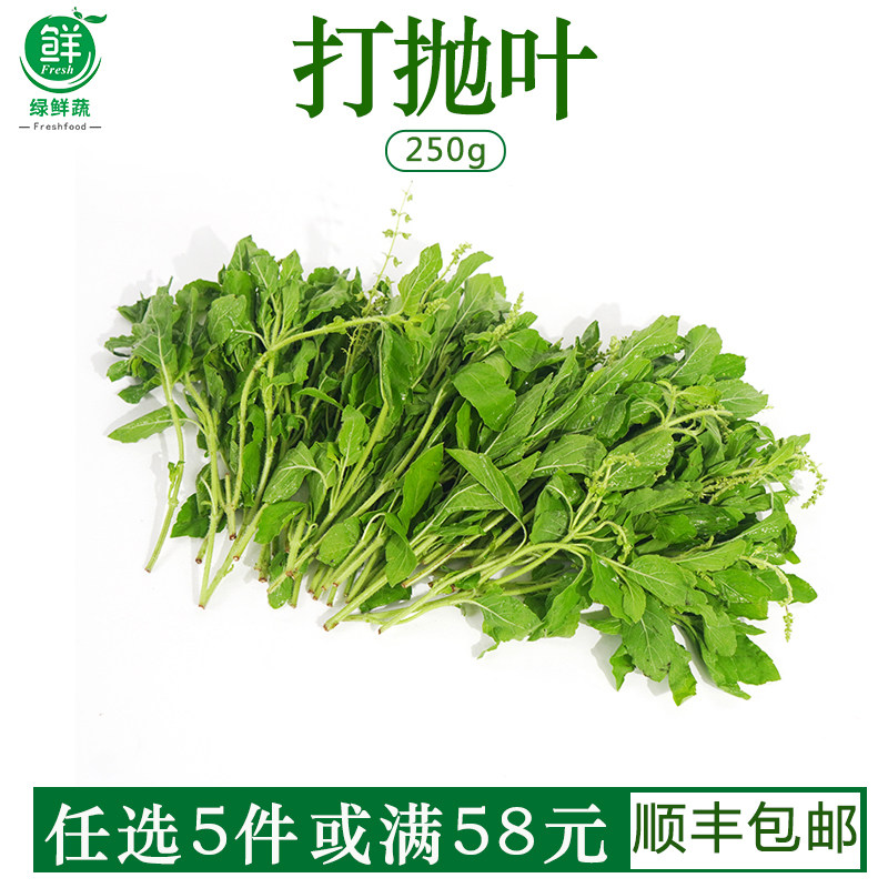 新鲜甲抛叶打抛叶塔抛葉泰式食材食用香料塔抛叶嘎抛叶甲抛蔬菜