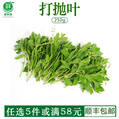 新鲜甲抛叶打抛叶塔抛葉泰式食材食用香料塔抛叶嘎抛叶甲抛蔬菜