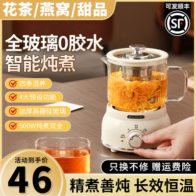 烧水壶养生壶炖煮一体家用迷你