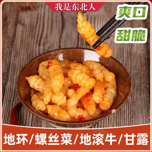 东北红油地环咸菜 酱宝塔菜特产商用泡菜地蒌栝蒌根甘露子酱菜