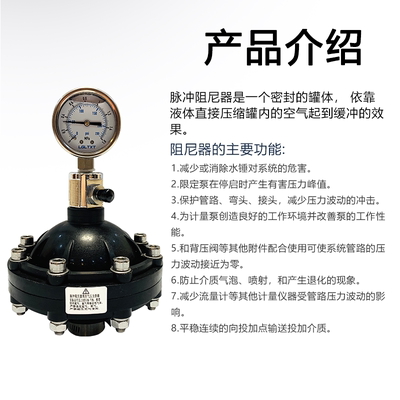 膜片式环保脉冲阻尼器防抖动UPVC脉动计量泵用附件塑料隔膜缓冲罐