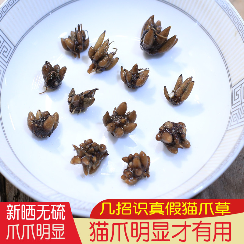 深山正品广东煲汤明显猫爪草药材