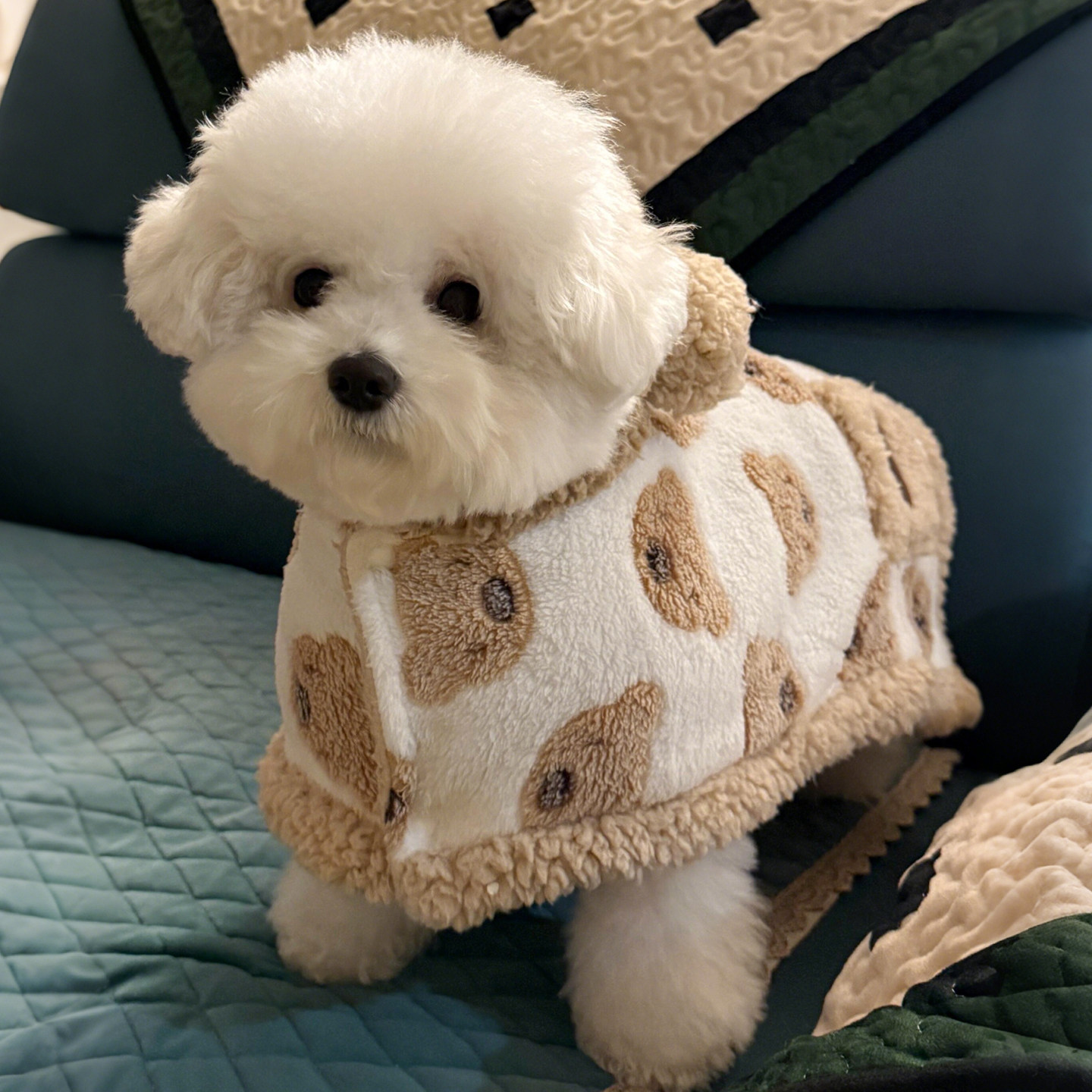 珊瑚绒狗狗衣服中小型犬比熊睡觉毛绒斗篷猫咪冬季保暖防寒披风