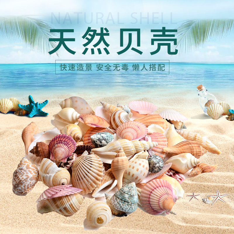 鱼缸造景天然贝壳海螺珊瑚海底世界布景装饰小摆件创意海水缸装饰