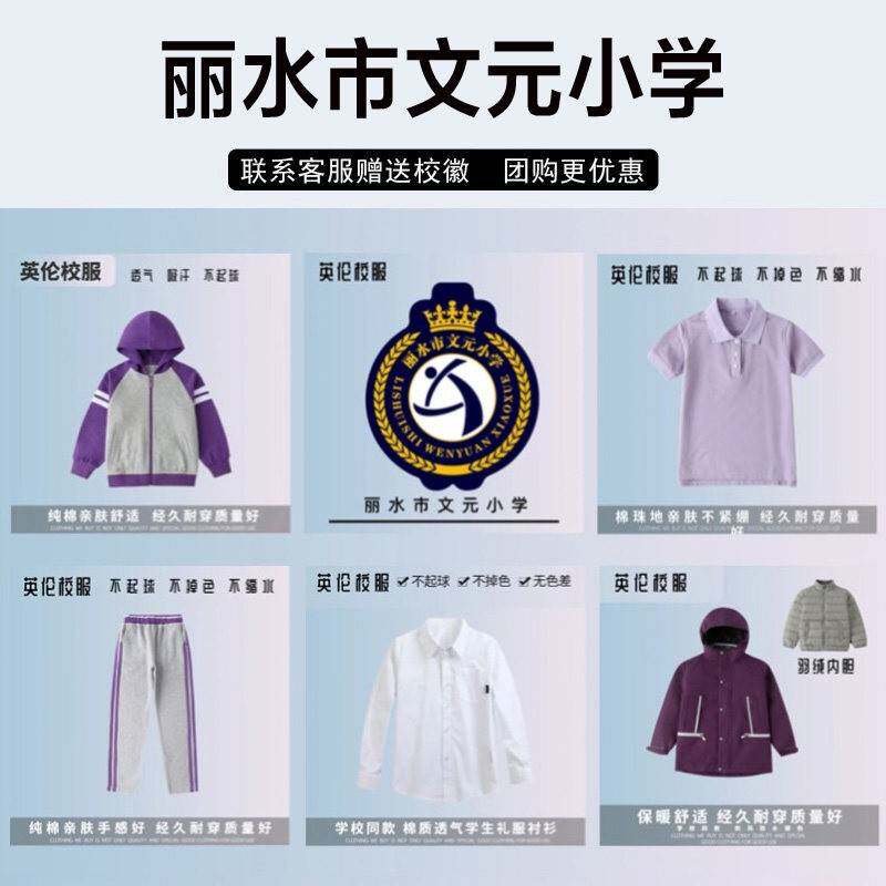 浙江省丽水市文元小学校服校徽套装冲锋衣短裤短袖棒球服紫色外套