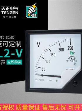 天正 6L2-V电压表450V250V500V1000V交流指针表10KV12KV20KV/100V