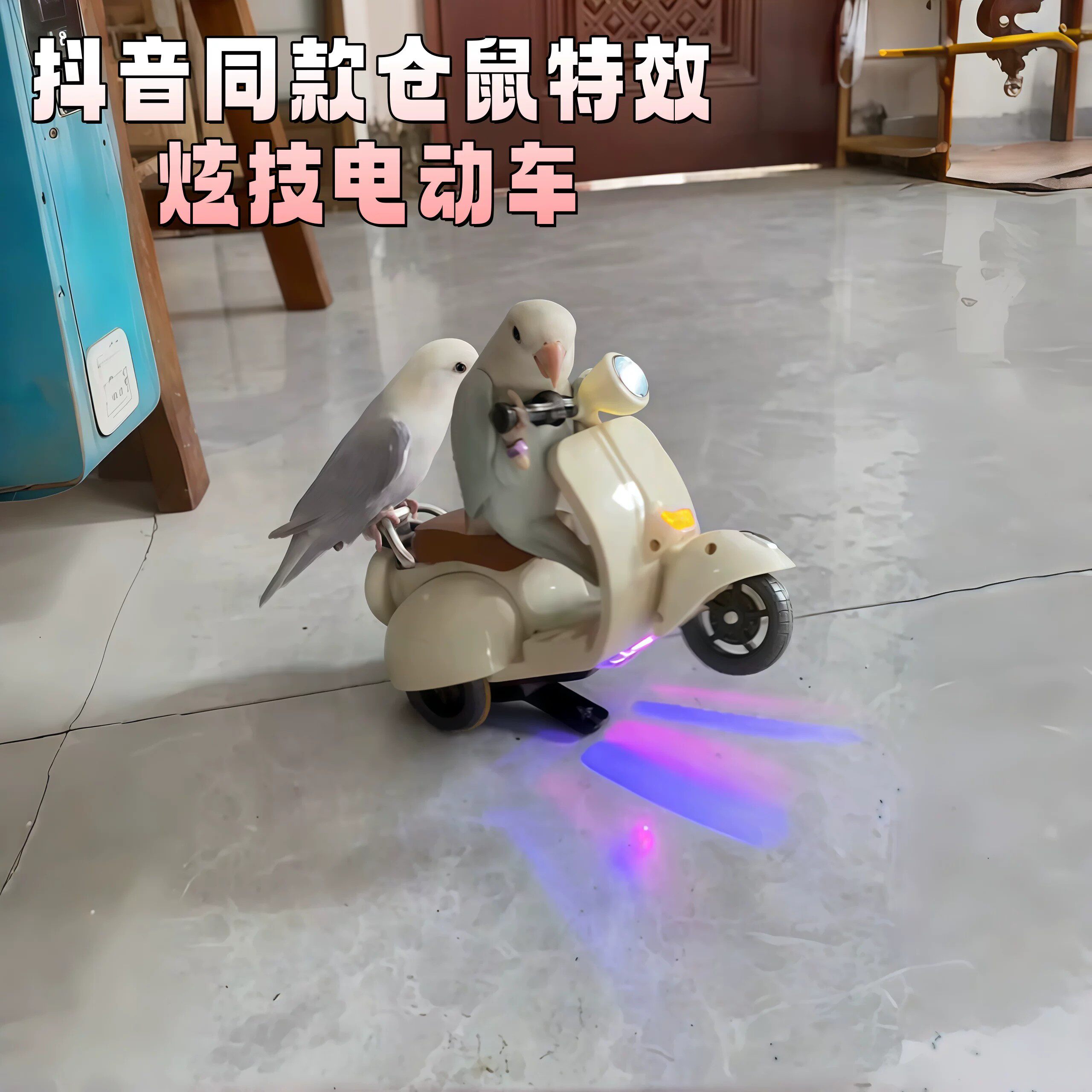抖音同款鹦鹉特技电动摩托车玩具